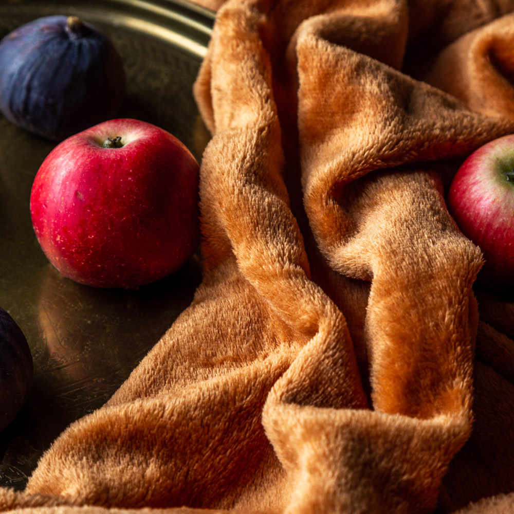 PROVANCE Плед, микрофибра, 130х150см, 180гр/м, "Уют", 2 цвета - #10