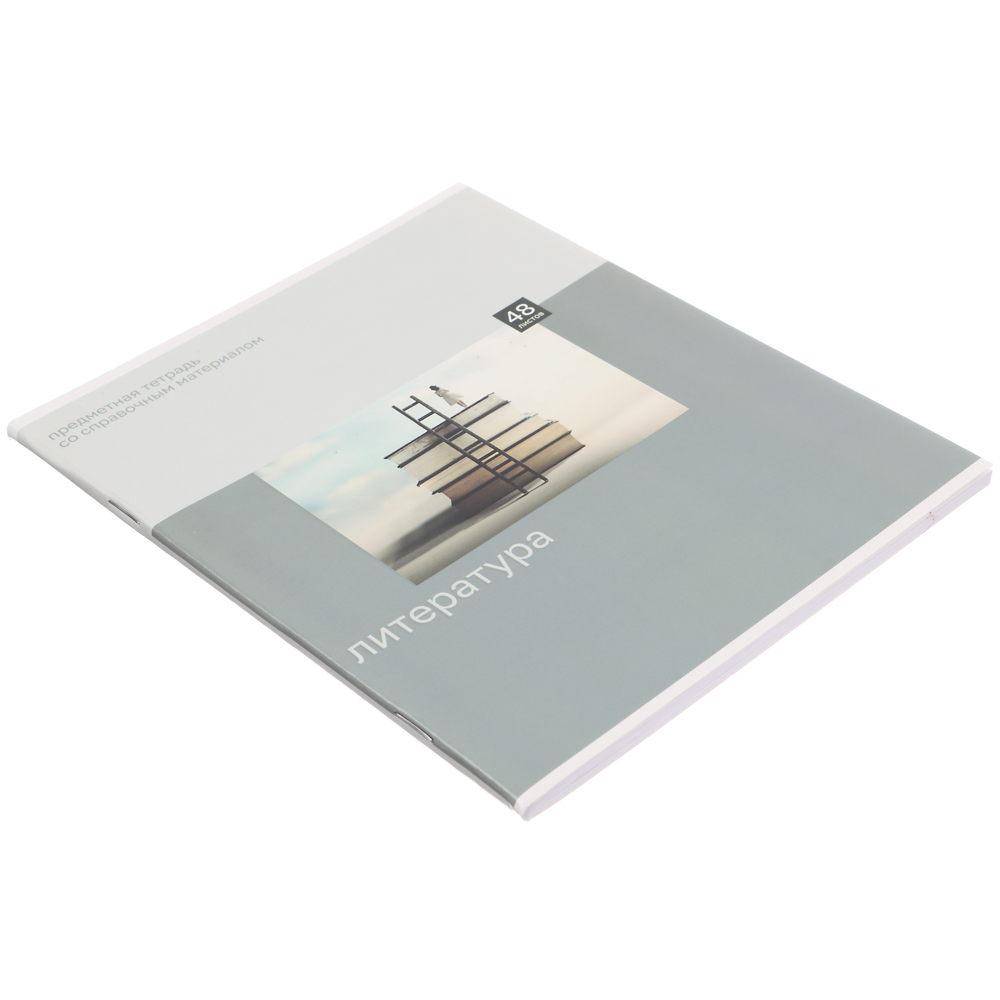 ClipStudio Тетрадь 48л. "Предметная", БЕЛЫЕ ЛИСТЫ, обл.картон "Монохром"скрепка, 7видов, справ.мат. - #10