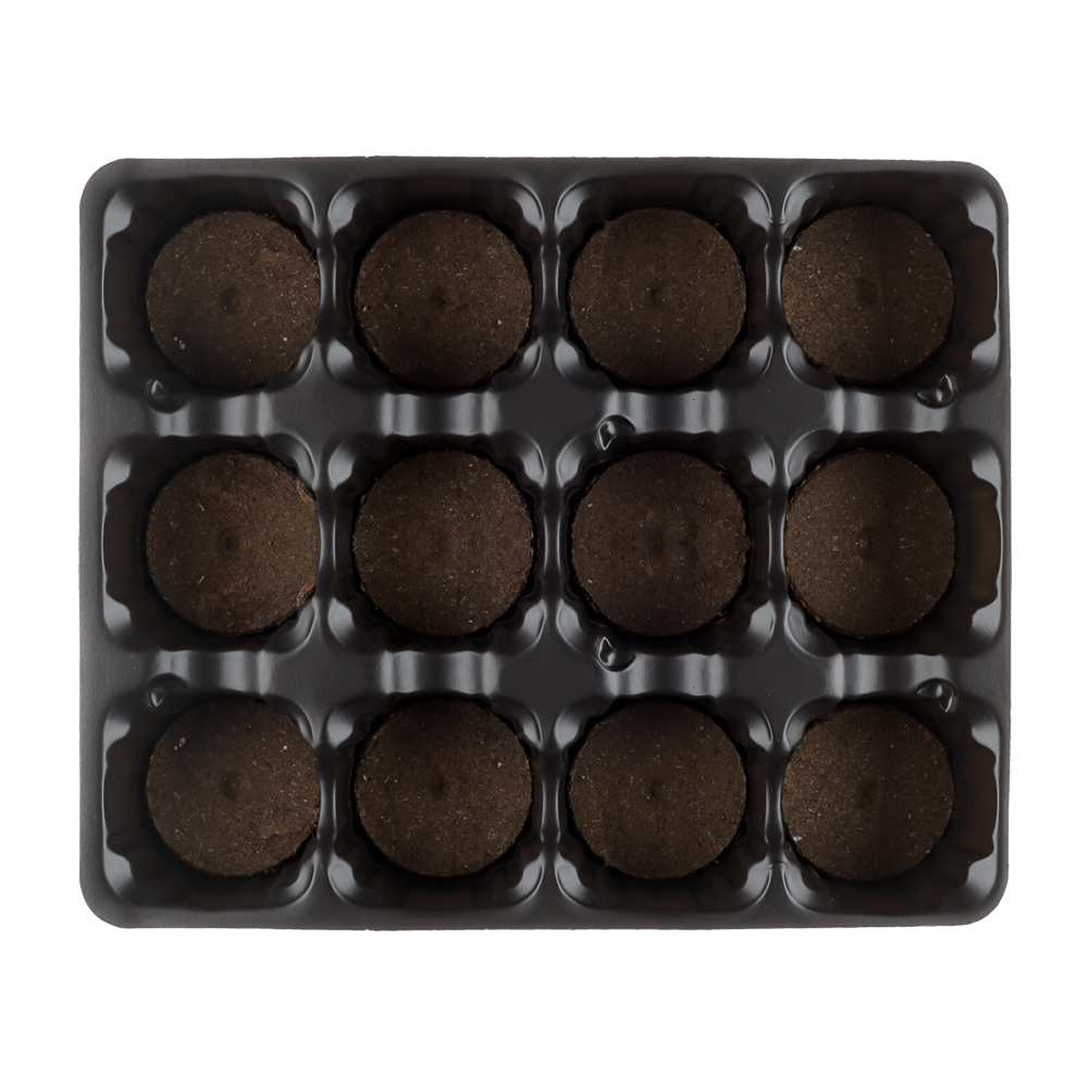 Набор для выращивания рассады (торфяные таблетки 12шт d4,1см + кассета + пластик лоток 17х20,5см) - #3