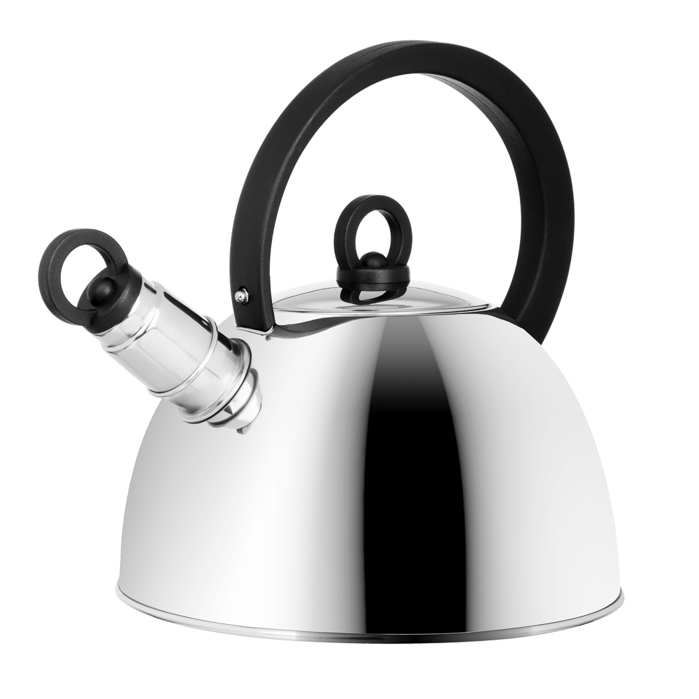 Чайник стальной 2.5л "Кампо" индукция - #1