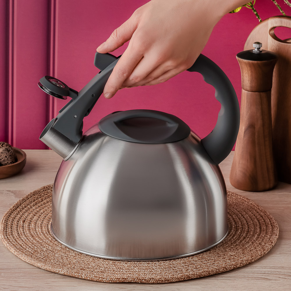 VETTA Чайник стальной 2,6л "Вена", индукция - #9