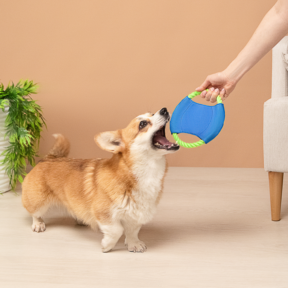 VETTA Игрушка для домашних животных, хлопок, ПЭ, 18 см - #8