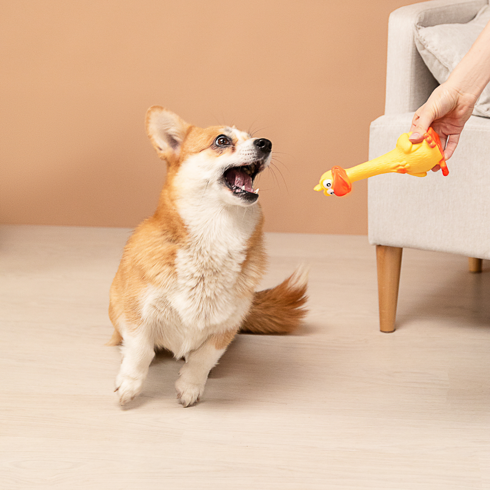 Игрушка для домашних животных тм VETTA, ПВХ, 7,5х17 см, утка - #11