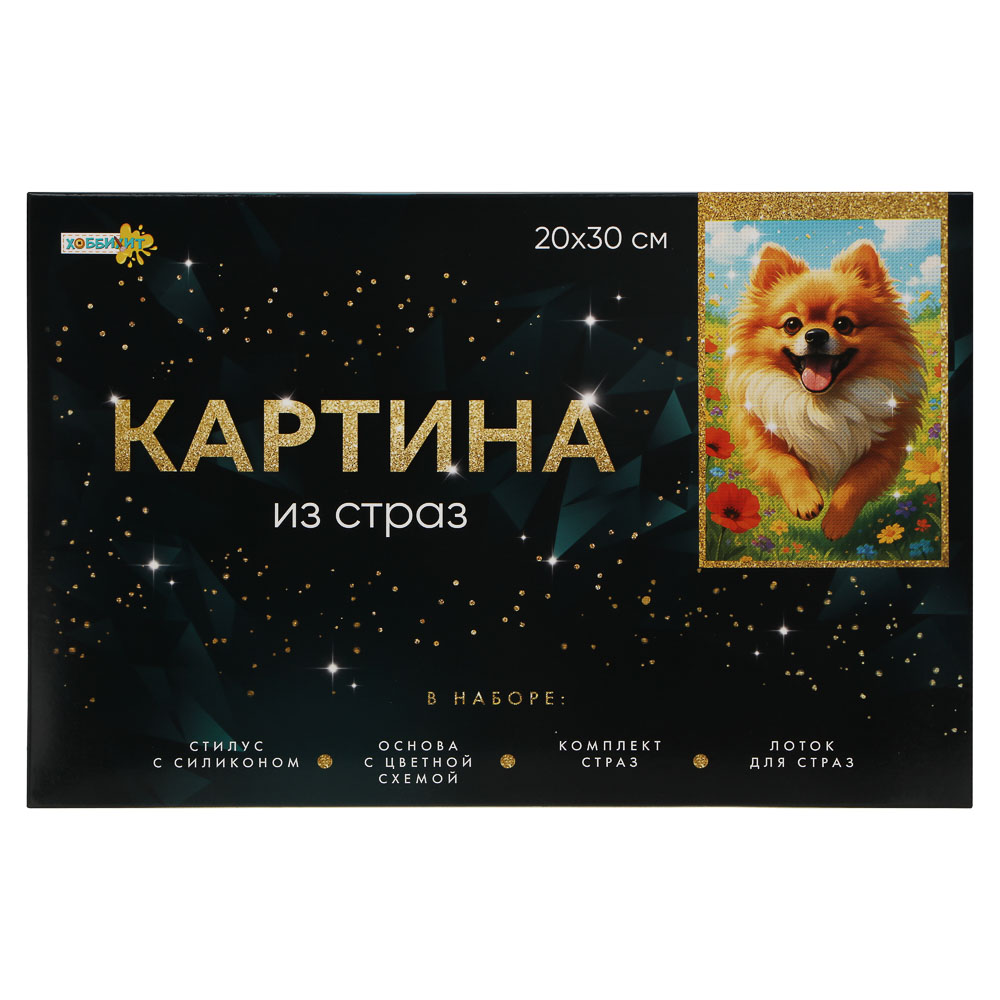 ХОББИХИТ Картина из страз, комплект (стразы, основа, палочка), 20х30см, 10 дизайнов - #1