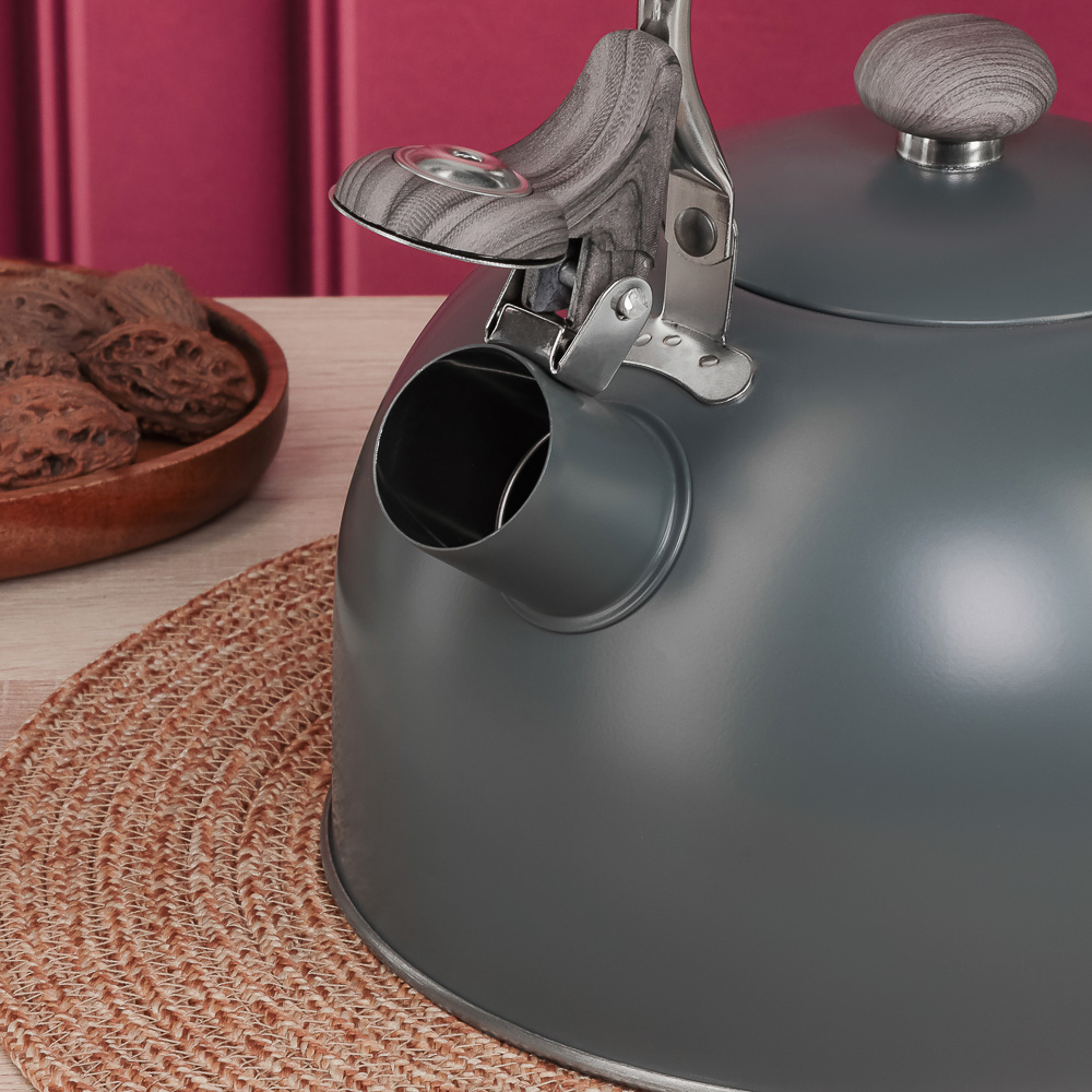 VETTA Чайник стальной 2,2л "Ливорно", индукция - #9