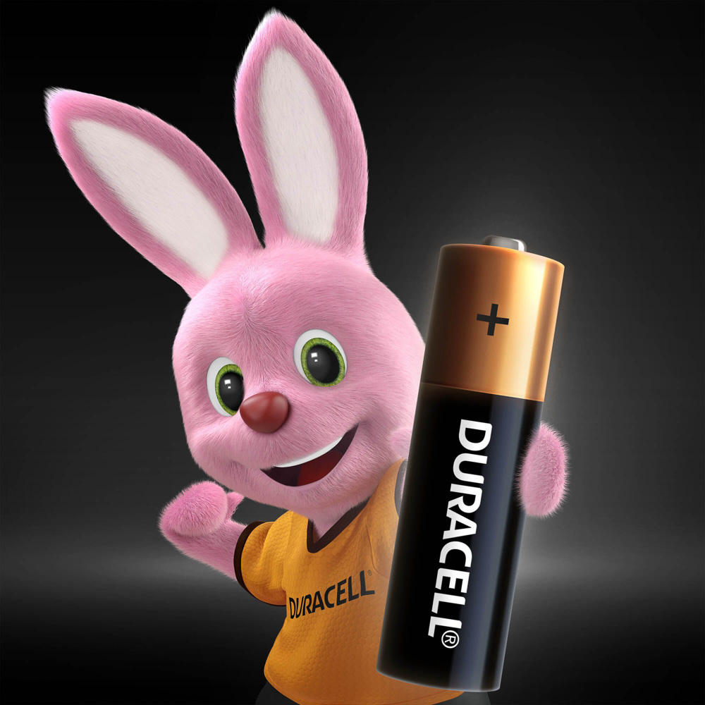 DURACELL Basic Батарейки 4шт, тип AA, BL - #6