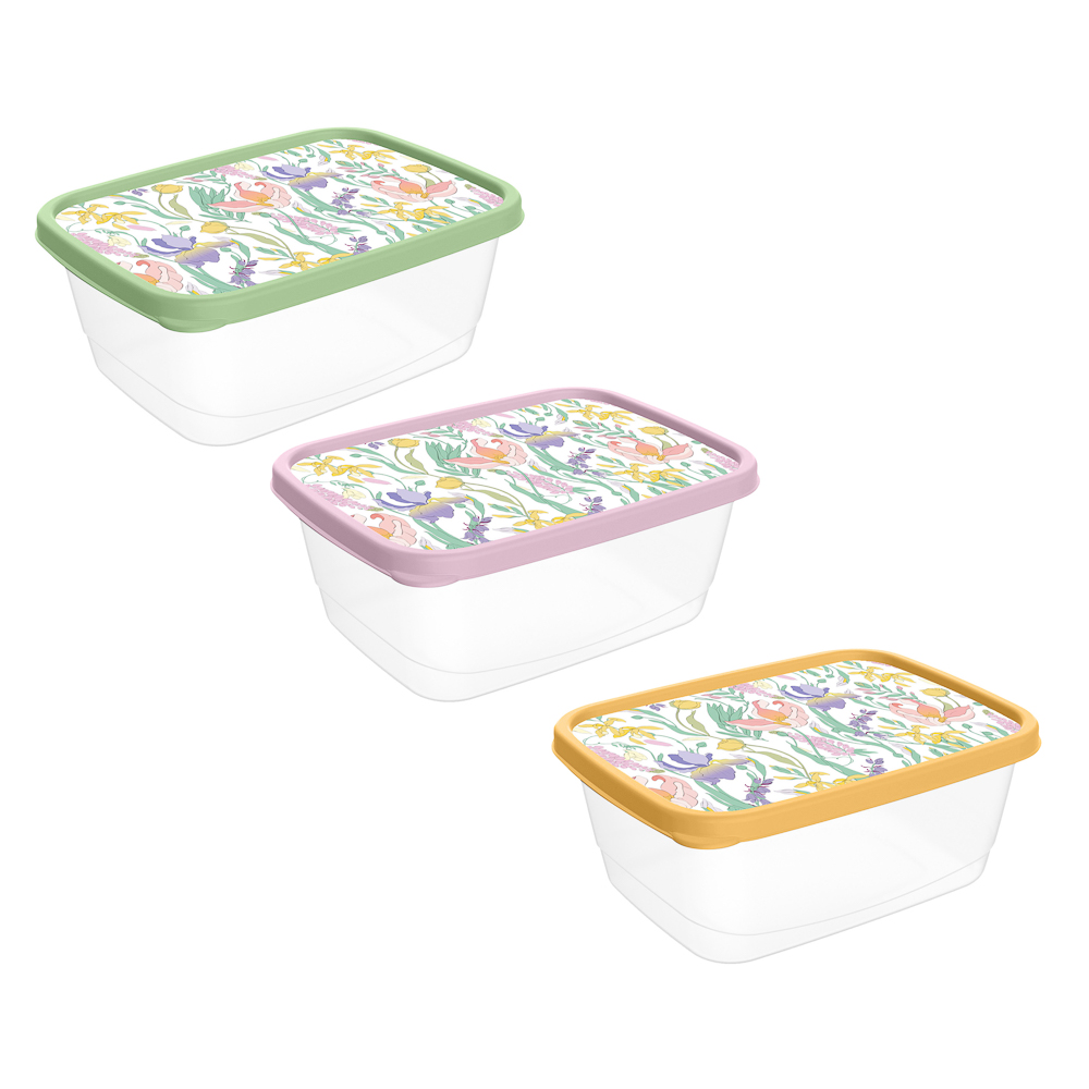 Ботаника Контейнер для продуктов прямоугольный 0,5л, пластик, 3 цвета - #1