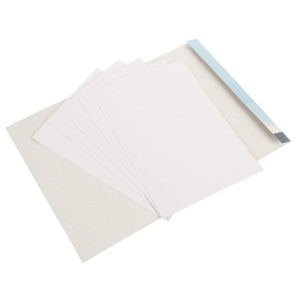 Картон белый 5 листов, 19х27,5 см, в карт. папке - #2