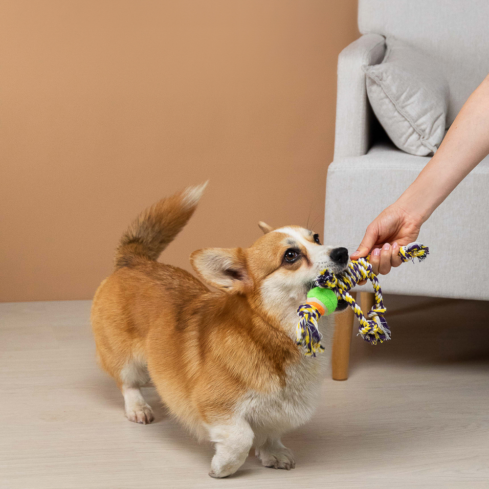 VETTA Игрушка для домашних животных, хлопок, резина, 32,5х4,5 см - #13