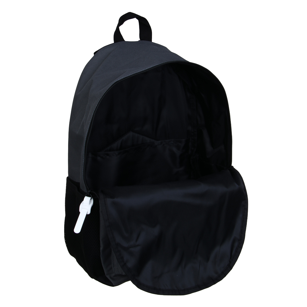 BY Русские Супергерои Рюкзак подростк. 43,5х29х13,5см, 1 отд. на молн., 1 пер., 2 бок. карм., сер. - #5