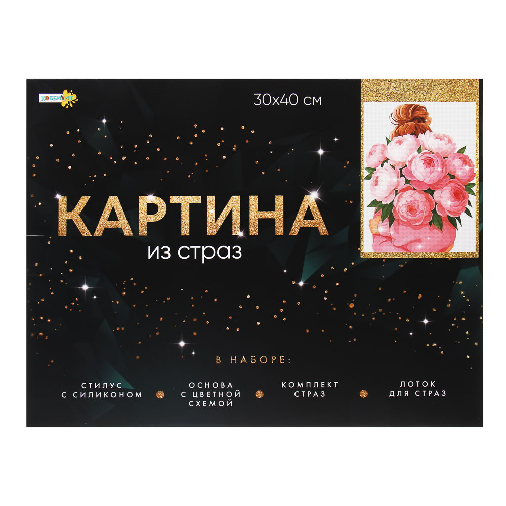 ХОББИХИТ Картина из страз, комплект: твердая основа, стразы, стилус, 30х40см, 5-10 дизайнов - #1