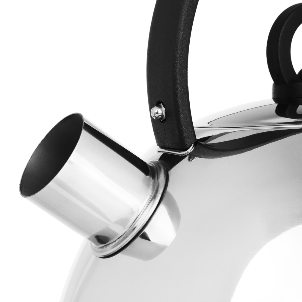 Чайник стальной 2.5л "Кампо" индукция - #3