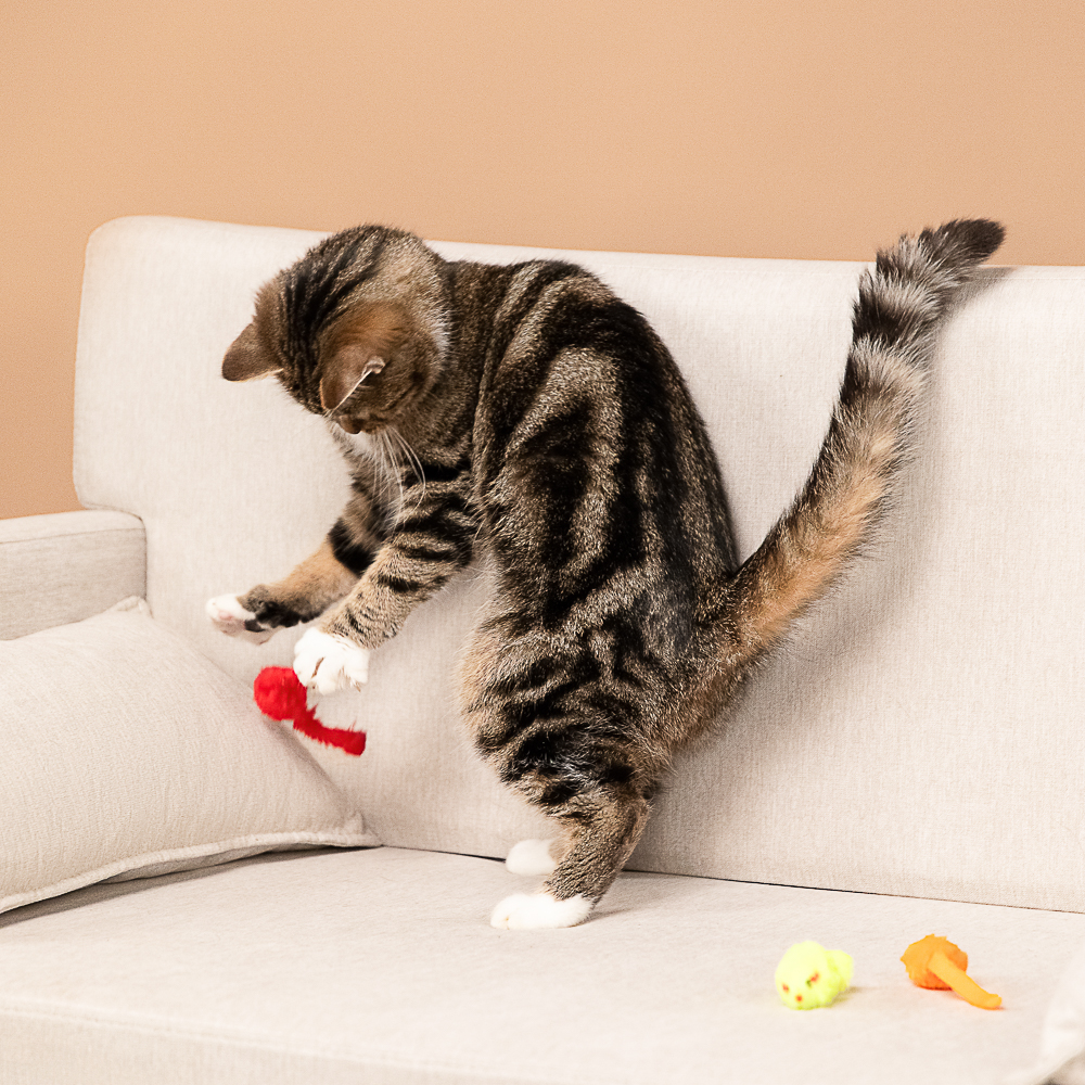 VETTA Игрушки для домашних животных, набор, 3 шт, ПЭ, 4,5 см - #12