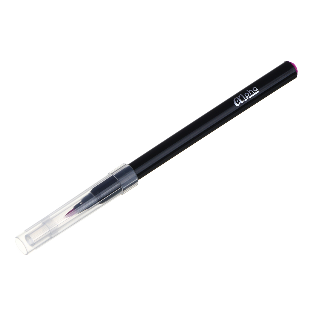 СlipStudio Фломастеры-кисточки 12 цв. "Альфа", с прозрачным колпачком, черный корпус, смываемые - #2