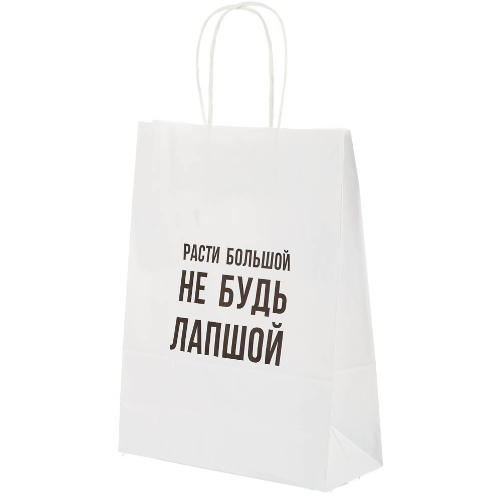 Пакет подарочный с надписями, белый, 24x10,5x32см, 5 в асс - #5