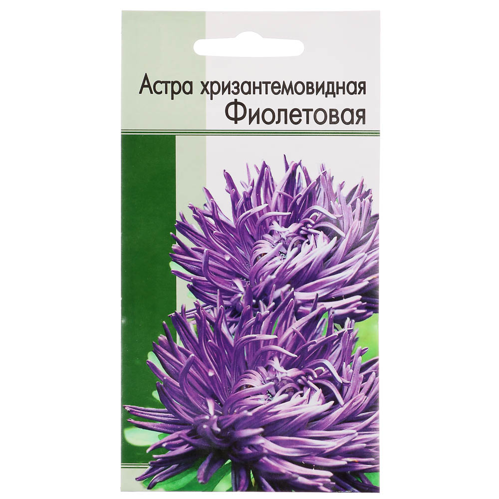 Семена Астра хризантемовидная Фиолетовая - #1