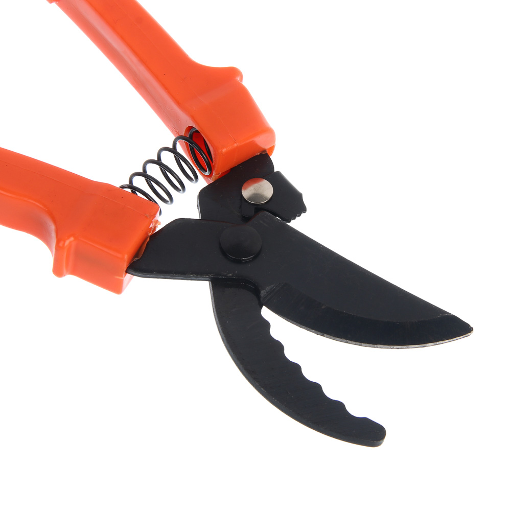 Секатор плоскостной тм INBLOOM 22,5см, металл, пластик - #2