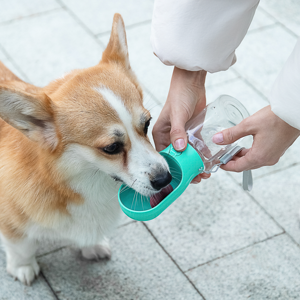 VETTA Поилка для домашних животных, пластмасса, 22х6,5 см - #10