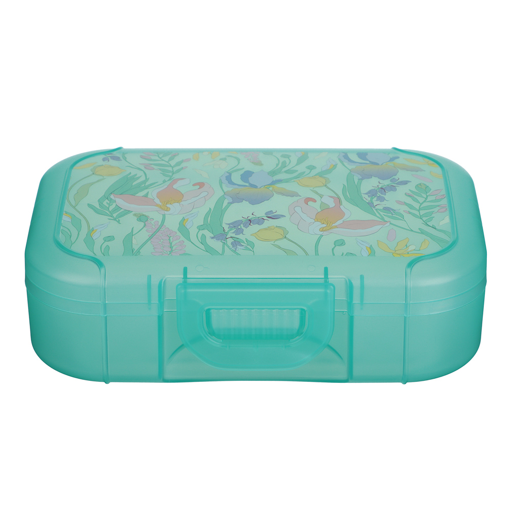 Ботаника Ланч-бокс 0,85л (18х12,5х5,5см), пластик, в ассортименте - #5