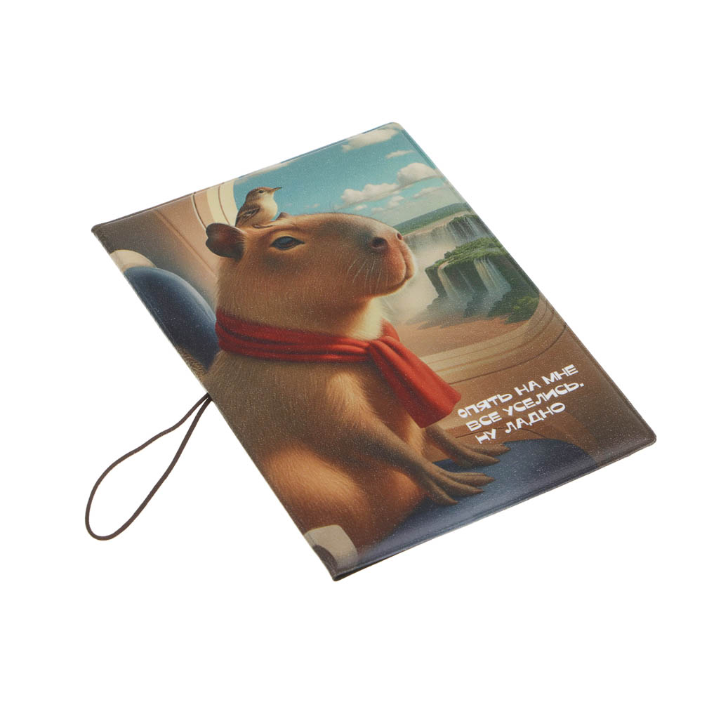 Обложка для паспорта тм ЮL с отд.для карт и удерживающей резинкой, ПВХ, 13,7х9,6см, 6 дизайнов, #3 - #5