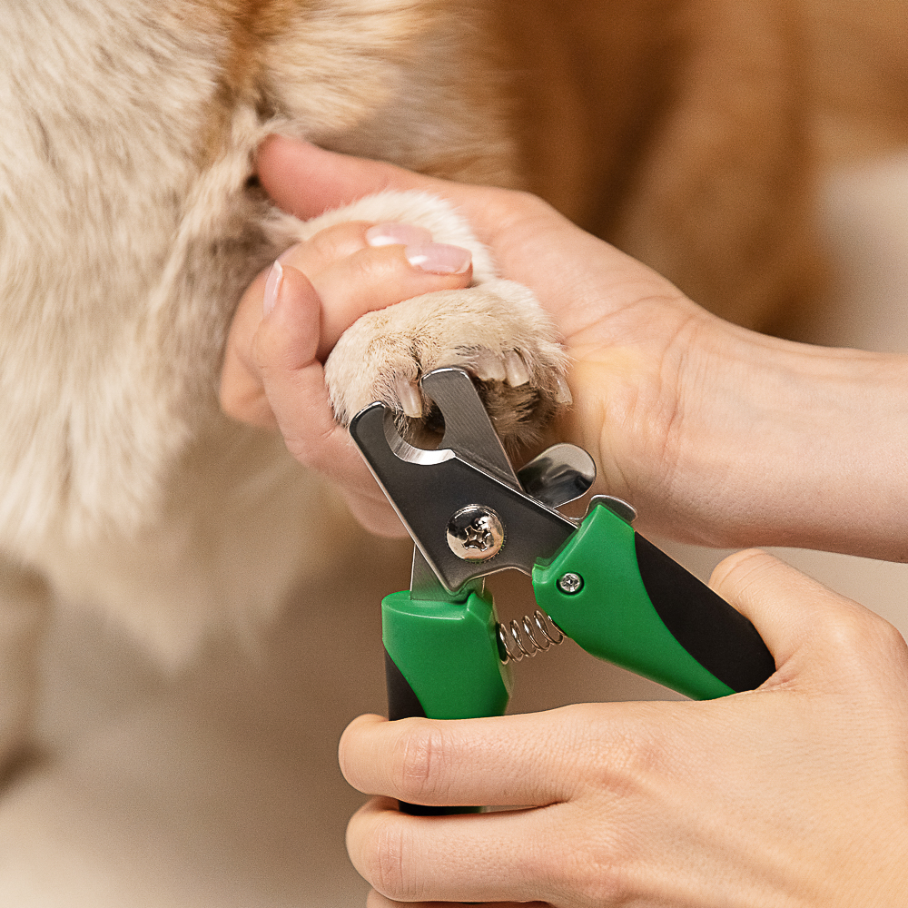 VETTA Когтерез для домашних животных, ТПР, металл, 6,5х14,5 см - #14