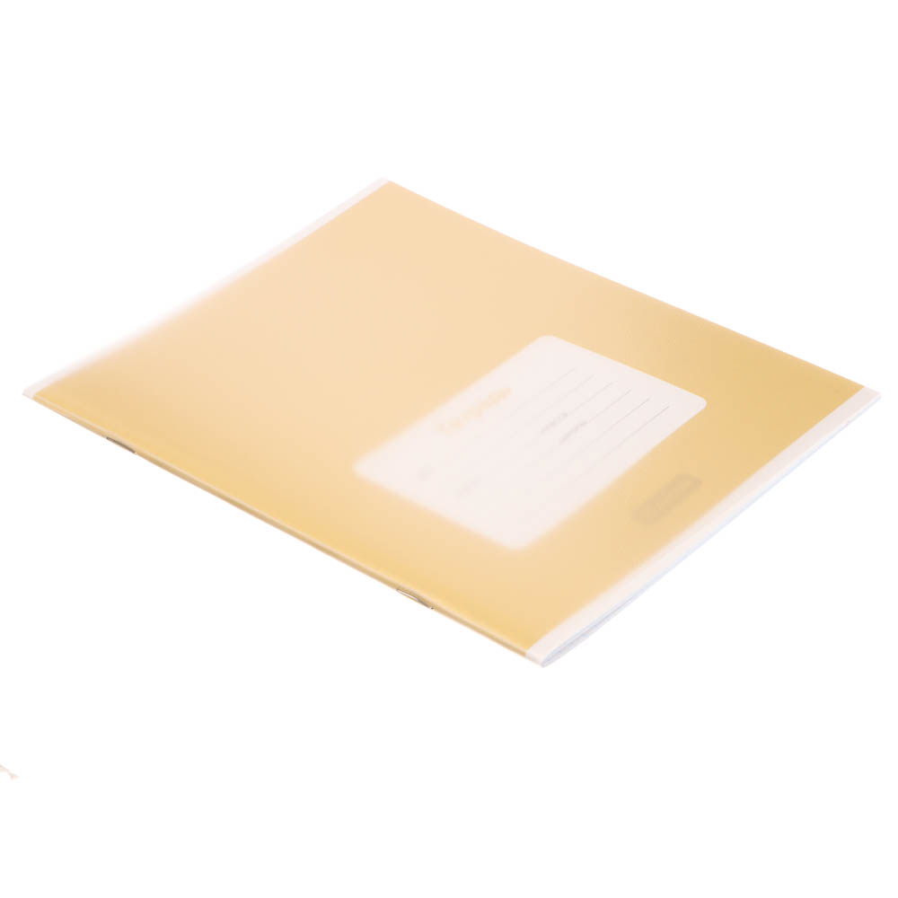 Тетрадь школьная 18л. в клетку ClipStudio, БЕЛЫЕ ЛИСТЫ, обл. пластик, скрепка - #12