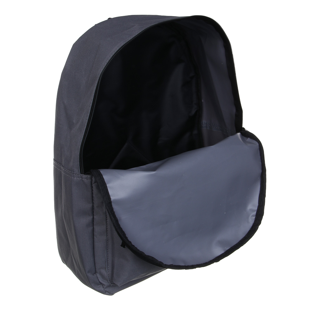 ClipStudio Рюкзак универсальный 42х30х13см, 1 отд., передний карман, ПЭ, 4 цвета - #6