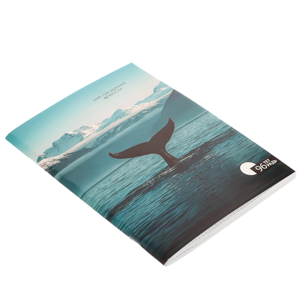 ClipStudio Тетрадь общая А4, 96 листов, в клетку, БЕЛЫЕ ЛИСТЫ, обложка картон, скрепка, 4 диз - #3