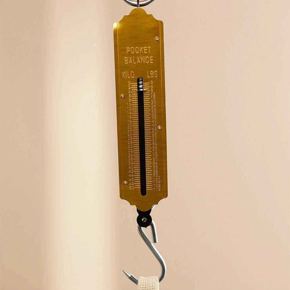 Безмен вертикальный, 50кг, металл - #7