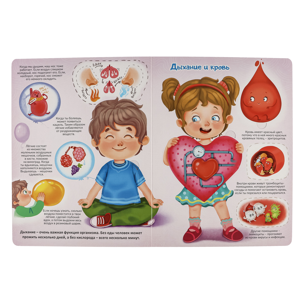 Книжка с окошками, 20х26 см, 10 стр., 4 дизайна - #3