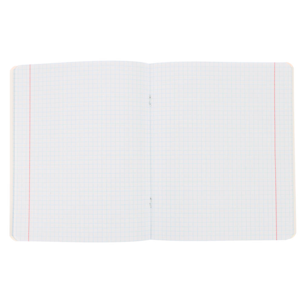 Тетрадь 48л. в клетку, офсет, обл.мел.картон, скрепка, софт тач, микс - #5