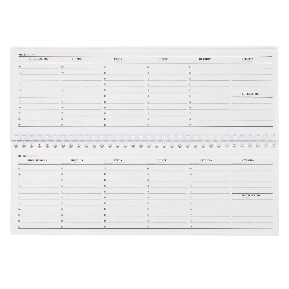 Планинг недатированный на гребне ClipStudio, размер 285х100, 52 листа - #5