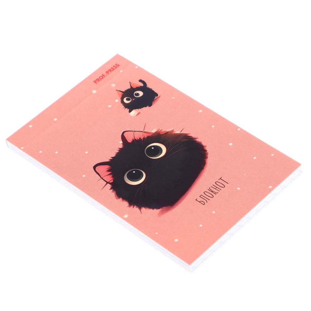 Блокнот А7, 48л, офсет, обложка картон, склейка, в ассортименте - #10