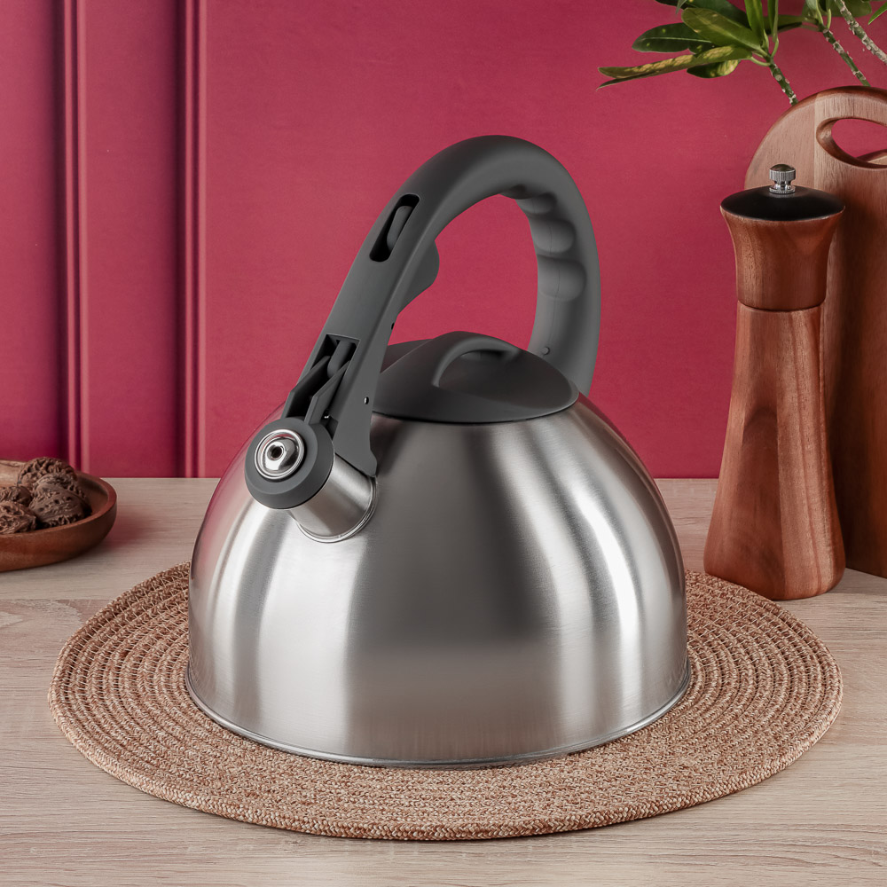 VETTA Чайник стальной 2,6л "Вена", индукция - #8