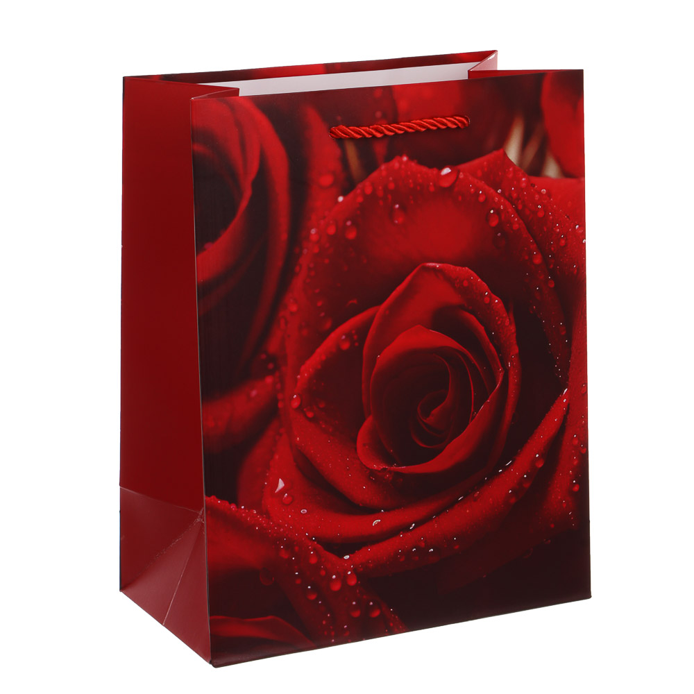 Пакет подарочный тм Fntastic M 18x23x10см, бумага, 4 дизайна, арт.7 - #2