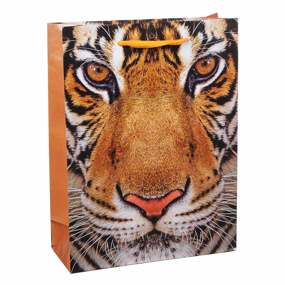 Пакет подарочный Сноубум "Тигр", 24х18х7 см - #2