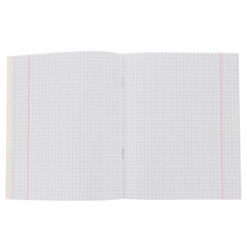 ClipStudio Тетрадь 48л. "Предметная", БЕЛЫЕ ЛИСТЫ, обл.картон, скрепка, 7 видов, справ.мат-л - #32