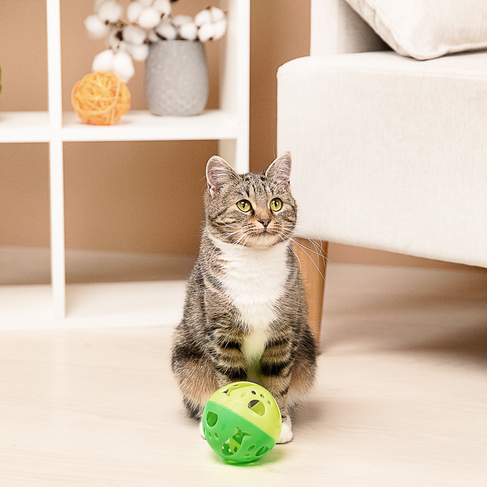 VETTA Игрушка для домашних животных, пластмасса, 9,5 см - #13