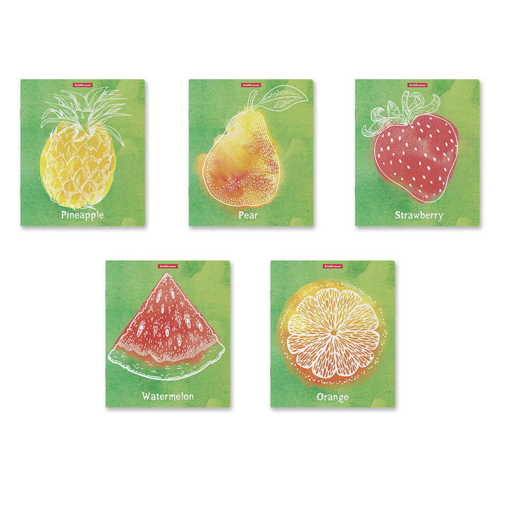 Erich Krause Тетрадь общая А5+, 48 л.,"Фреш, Микст Реалити", с пласт.обл., в кл., на скобе, 5 диз. - #1