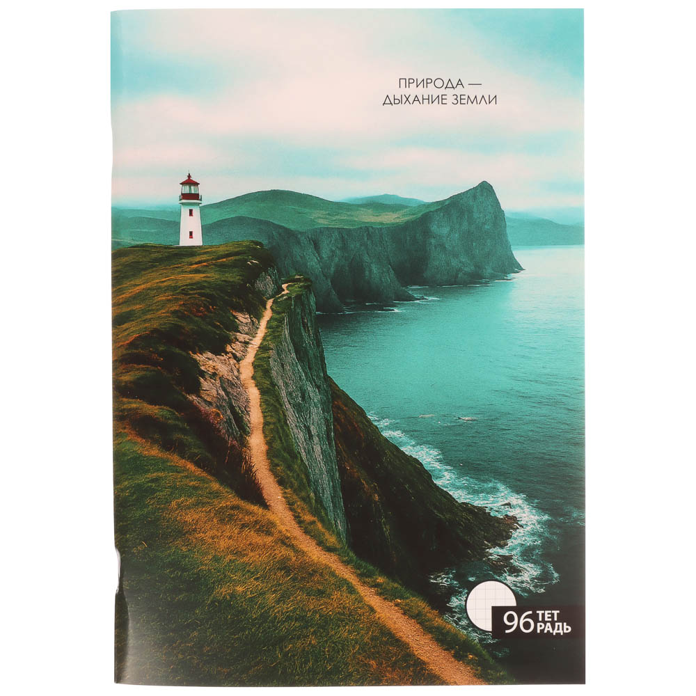 ClipStudio Тетрадь общая А4, 96 листов, в клетку, БЕЛЫЕ ЛИСТЫ, обложка картон, скрепка, 4 диз - #12