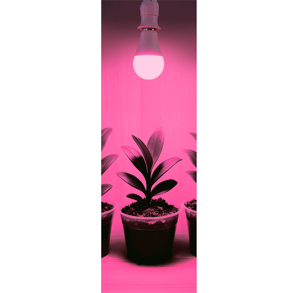 INBLOOM Лампочка для растений, 6х12см, 10LED, фиолетовый, Е27, 9Вт, PC - #5