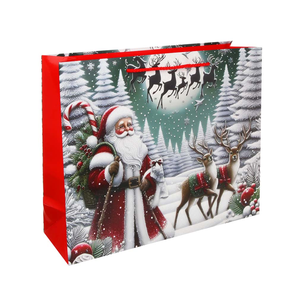 Пакет тм СНОУ БУМ подарочный, 26x32x10см, глиттер, бумага, арт.26, 4 дизайна - #2