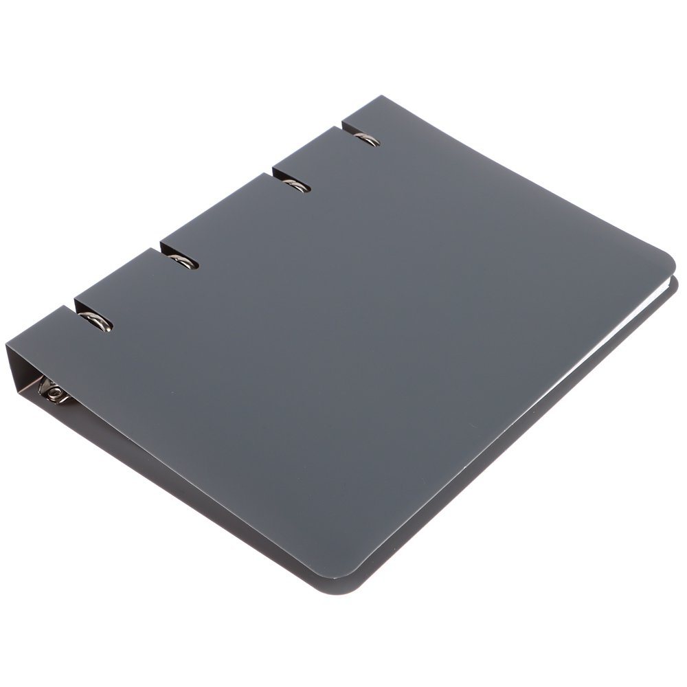 Тетрадь на кольцах А5, 80 л., клетка, обложка пластик, белый блок - #2