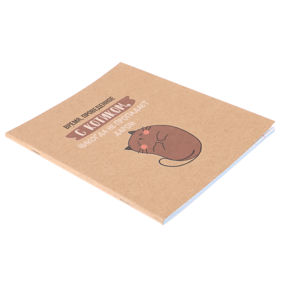 ClipStudio Тетрадь 48л. в клетку, офсет, обл. мел.картон, скрепка, крафт, 4 диз. - #15