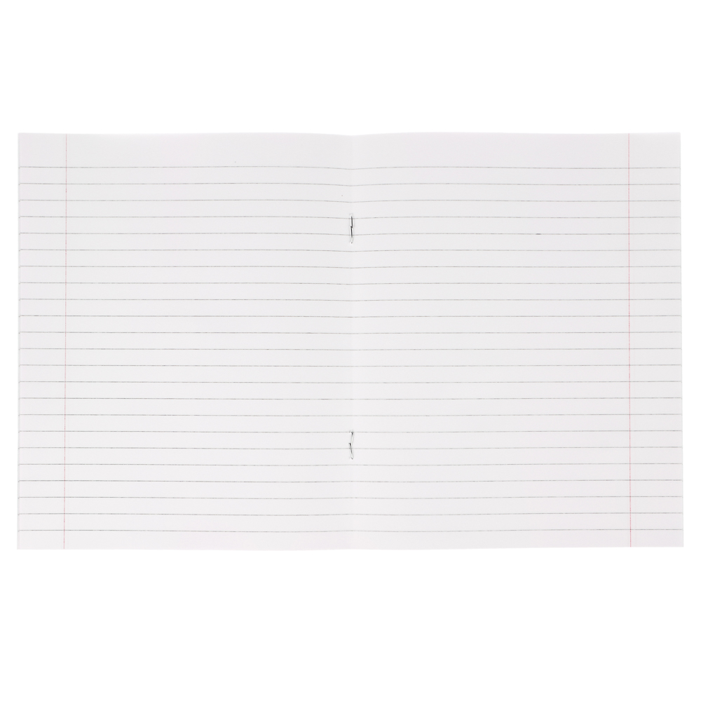 Тетрадь школьная 12л. в линейку, БЕЛЫЕ ЛИСТЫ обложка плотный офсет 115 гр "Пятерка" - #3