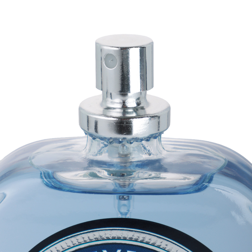 Туалетная вода мужская тм BELLERIVE Gentlemen club status, 100 мл - #4