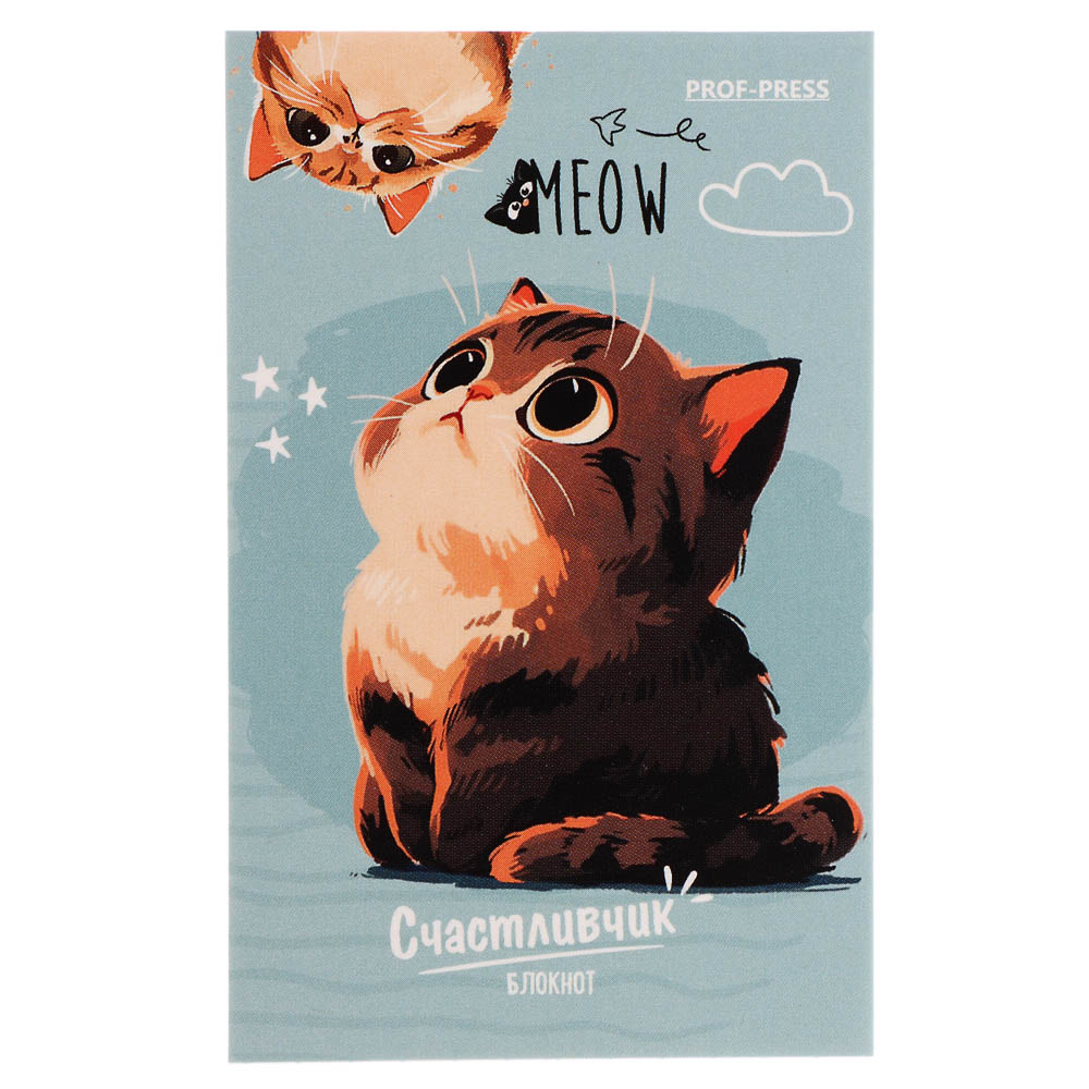 Блокнот А7, 48л, офсет, обложка картон, склейка, в ассортименте - #30