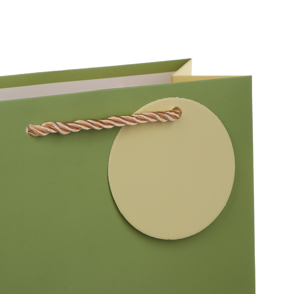 Пакет подарочный тм Fntastic S14,3x15,5x7см, бумага, 6 дизайнов - #3