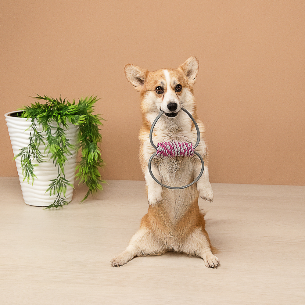 VETTA Игрушка для домашних животных, ТПР, 11х4,5 см - #11