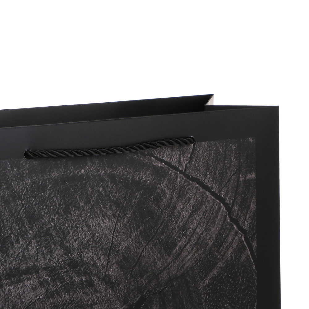 Пакет подарочный бумажный тм LADECOR L 26x32x10 см, для мужчин арт 1, 4 дизайна - #3